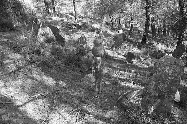 Kavaklıdere Menteşe Mezarlık Çevre Tanzim Projesi