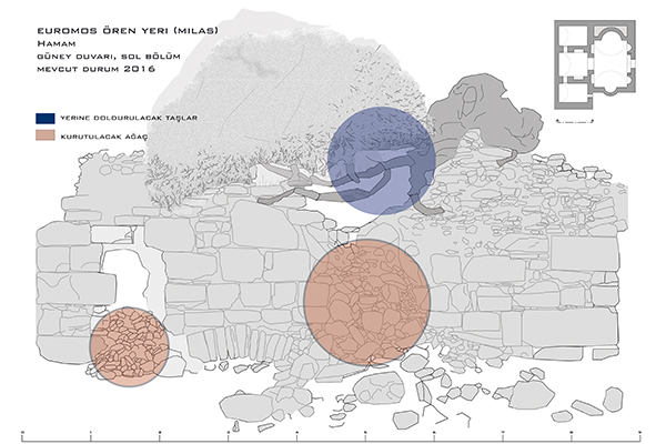 Milas Euromos Antik Kent Roma Hamamı